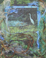 Ibis in Lily Pond