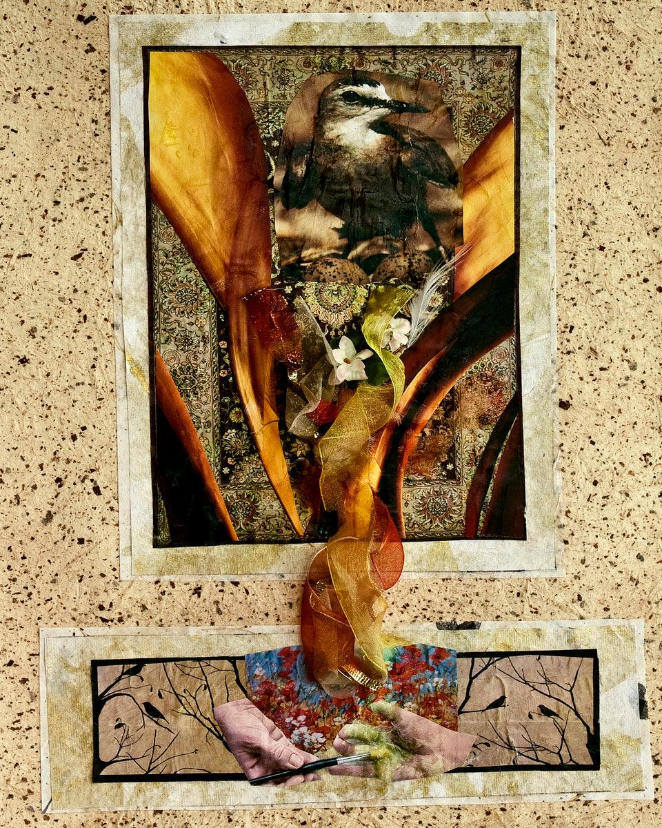 Wall Frame Espresso - Birds of Paradise by Fr. Bob Gilroy, SJ - Trinity Stores