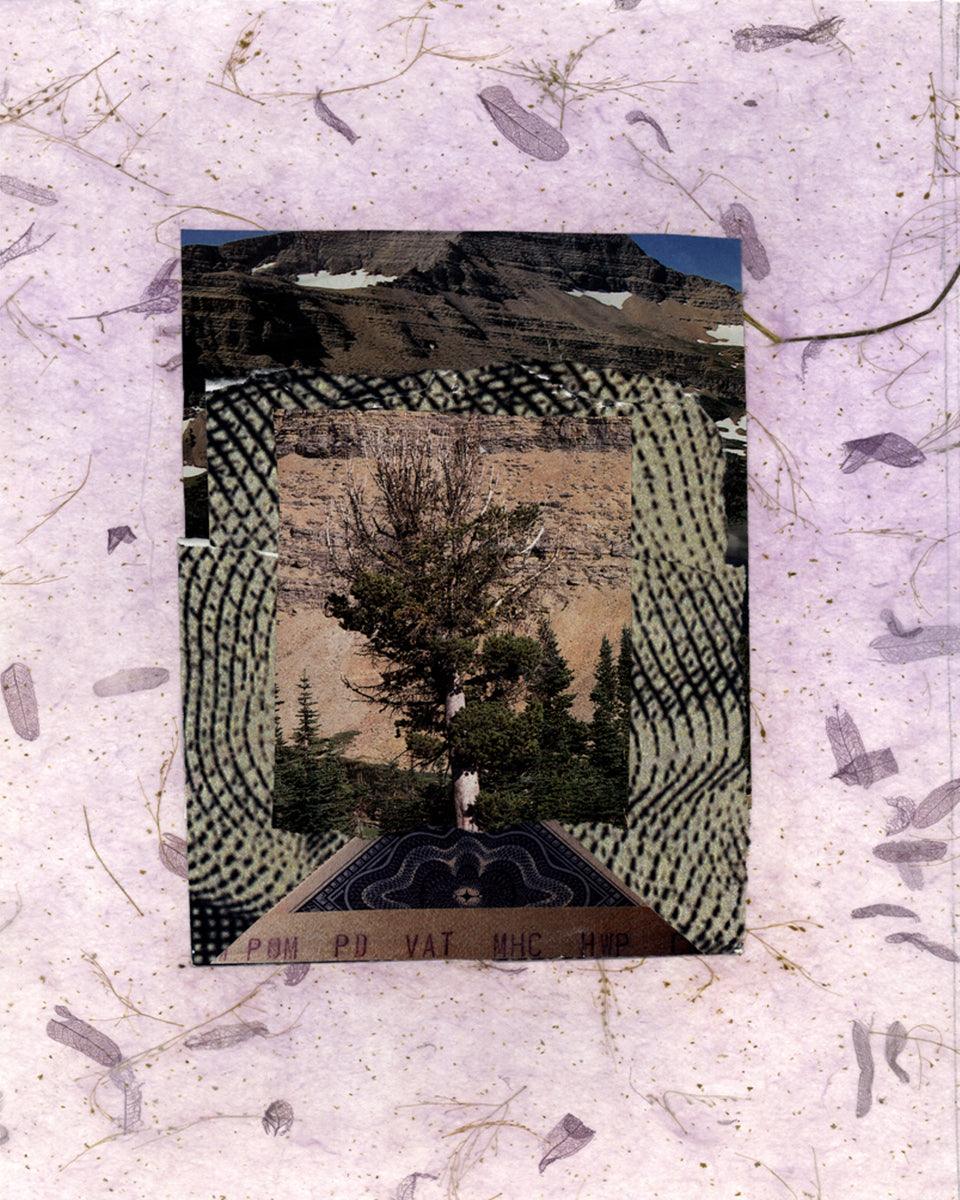 Wall Frame Espresso - Burning Bush by Fr. Bob Gilroy, SJ - Trinity Stores