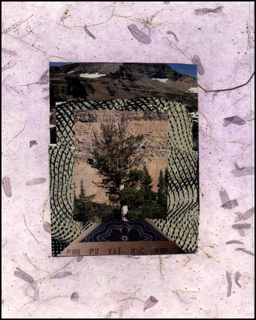 Wall Frame Black, Matted - Burning Bush by Fr. Bob Gilroy, SJ - Trinity Stores