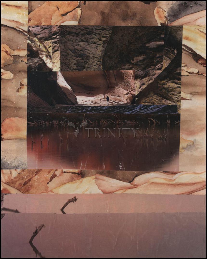 Canvas Print - Desert Light by Fr. Bob Gilroy, SJ - Trinity Stores