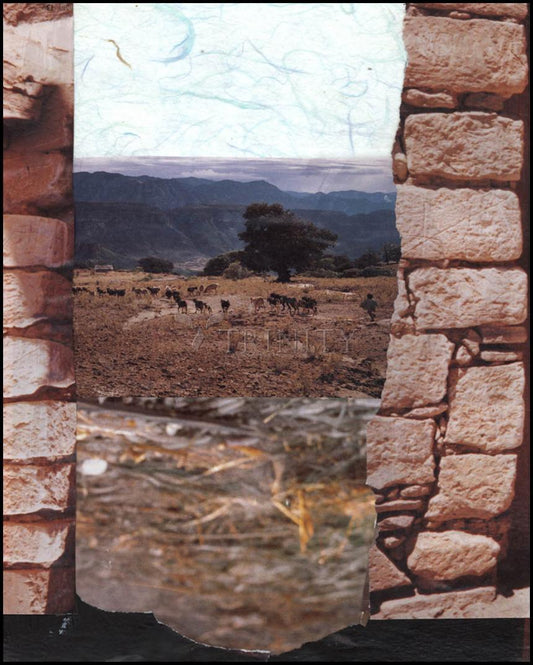 Acrylic Print - Shepherd's Gate by Fr. Bob Gilroy, SJ - Trinity Stores