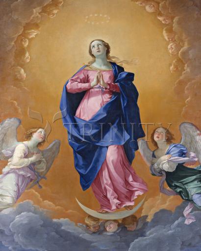 Metal Print - Immaculate Conception by Museum Art - Trinity Stores