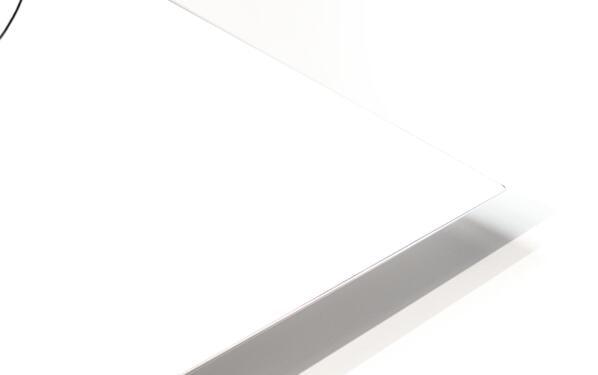 Metal Print - Ann Adams' Madonna by Dan Paulos - Trinity Stores