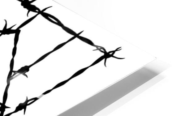 Metal Print - Behold The Child by Dan Paulos - Trinity Stores