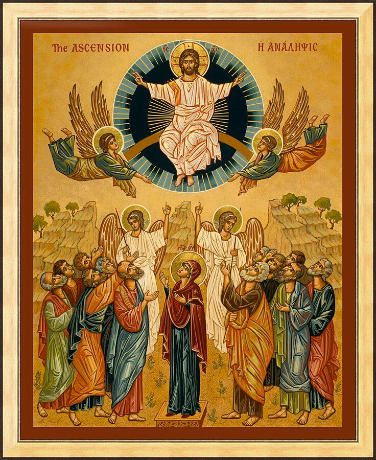 Wall Frame Gold - Ascension by Joan Cole - Trinity Stores