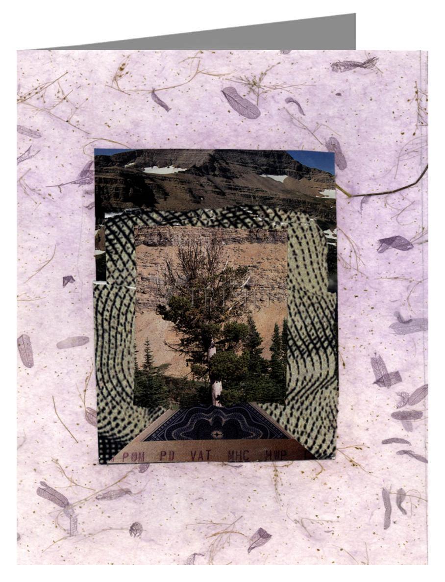 Burning Bush - Note Card by Fr. Bob Gilroy, SJ - Trinity Stores