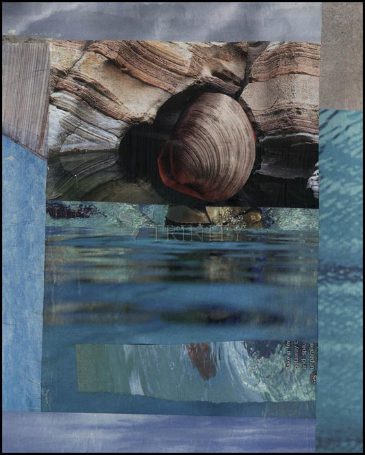 Seashell - Wood Plaque by Fr. Bob Gilroy, SJ - Trinity Stores