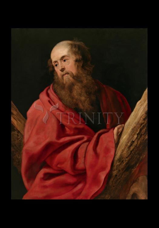 St. Andrew - Holy Card by Museum Classics - Trinity Stores