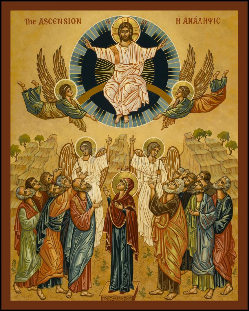 Ascension - Wood Plaque by Joan Cole - Trinity Stores