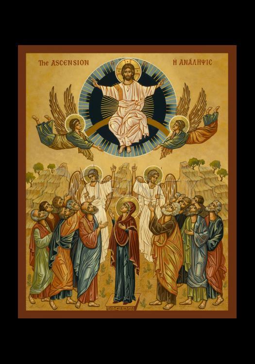 Ascension - Holy Card by Julie Lonneman - Trinity Stores