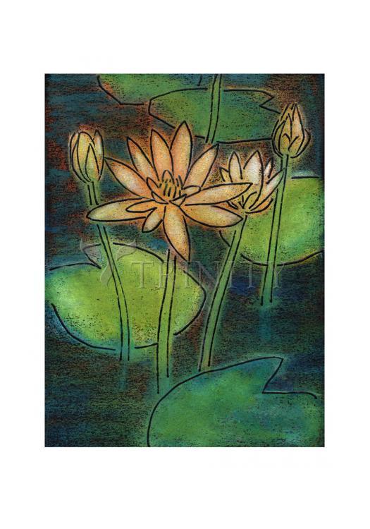 Waterlilies - Holy Card by Julie Lonneman - Trinity Stores