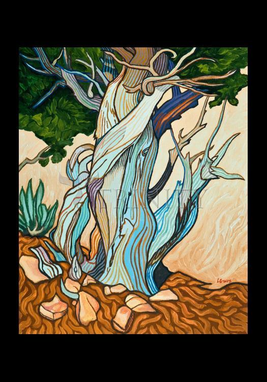 Slept Under A Juniper - Holy Card by Lewis Williams, OFS - Trinity Stores