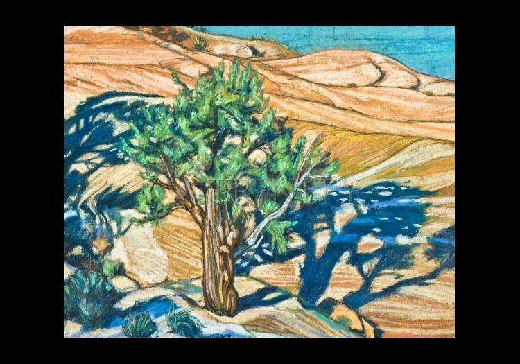 Tree Shadow on Slickrock - Holy Card by Lewis Williams, OFS - Trinity Stores