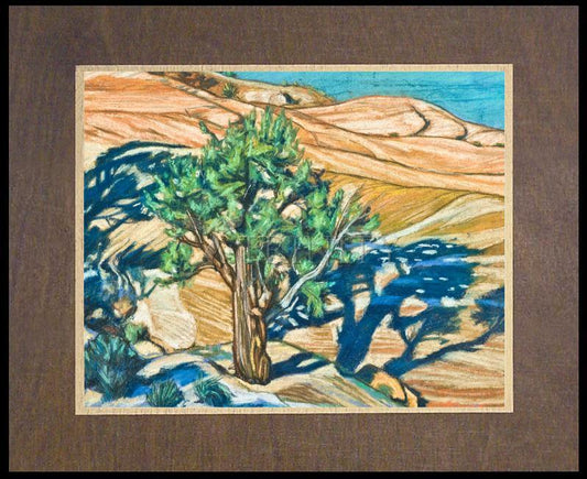 Tree Shadow on Slickrock - Wood Plaque Premium by Lewis Williams, OFS - Trinity Stores