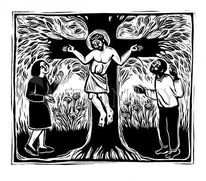 Tree of Life - Giclee Print by Julie Lonneman - Trinity Stores