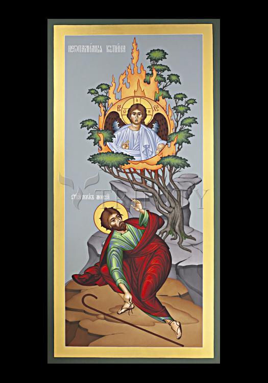 Moses and the Burning Bush - Holy Card by Br. Robert Lentz, OFM - Trinity Stores