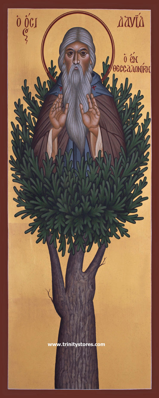 Jun 26 - “St. David of Thessalonika” © icon by Br. Robert Lentz, OFM.