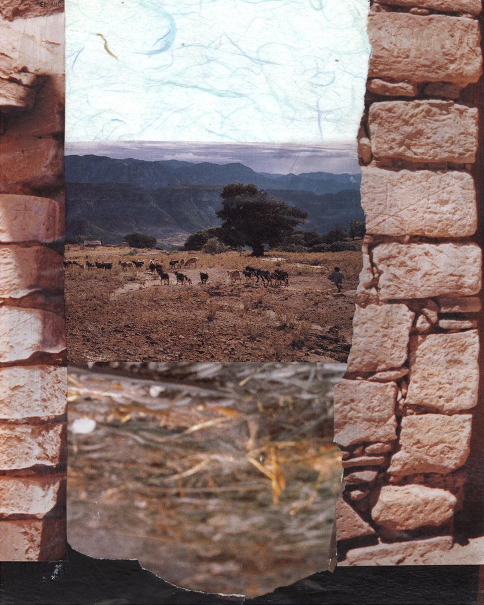 Wall Frame Espresso - Shepherd's Gate by B. Gilroy