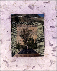 Metal Print - Burning Bush by B. Gilroy