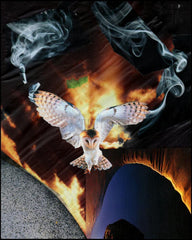 Metal Print - Dark Parted by His Appearance by B. Gilroy