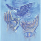 Wall Frame Black, Matted - Eagle Flying in Freedom by B. Gilroy