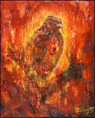 Acrylic Print - Eagle Eye by B. Gilroy