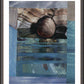 Wall Frame Espresso, Matted - Seashell by B. Gilroy