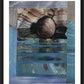 Wall Frame Black, Matted - Seashell by B. Gilroy