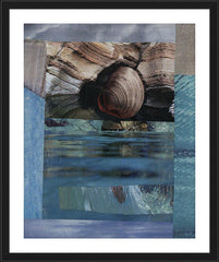 Wall Frame Black - Seashell by B. Gilroy