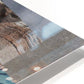 Metal Print - Seashell by Fr. Bob Gilroy, SJ - Trinity Stores