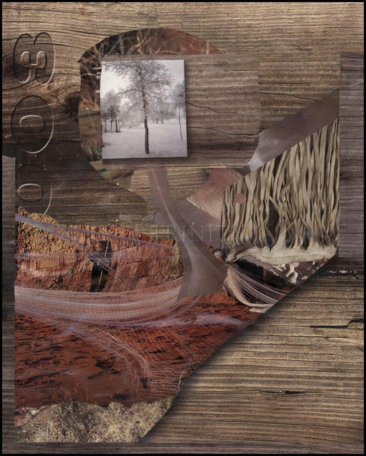 Acrylic Print - Tree Window by B. Gilroy