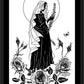 Wall Frame Black, Matted - Lo, How A Rose E'er Blooming by Dan Paulos