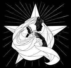 Metal Print - Morning Star by D. Paulos