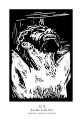 Metal Print - Scriptural Stations of the Cross 13 - Jesus Dies on the Cross by J. Lonneman