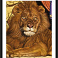 Wall Frame Black, Matted - Lion of Judah by Lewis Williams, OFS - Trinity Stores
