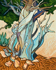 Acrylic Print - Slept Under A Juniper by L. Williams