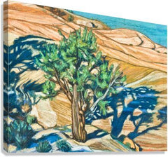 Canvas Print - Tree Shadow on Slickrock by L. Williams