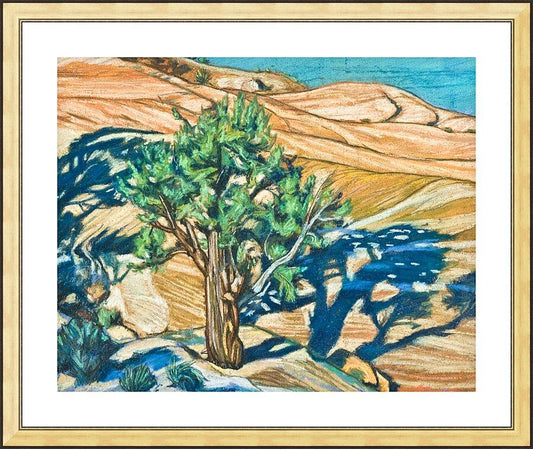 Wall Frame Gold, Matted - Tree Shadow on Slickrock by L. Williams