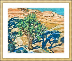 Wall Frame Gold - Tree Shadow on Slickrock by L. Williams