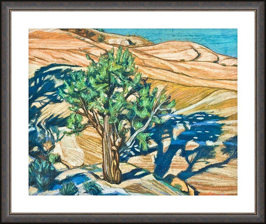 Wall Frame Espresso, Matted - Tree Shadow on Slickrock by L. Williams