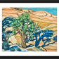 Wall Frame Black, Matted - Tree Shadow on Slickrock by Lewis Williams, OFS - Trinity Stores