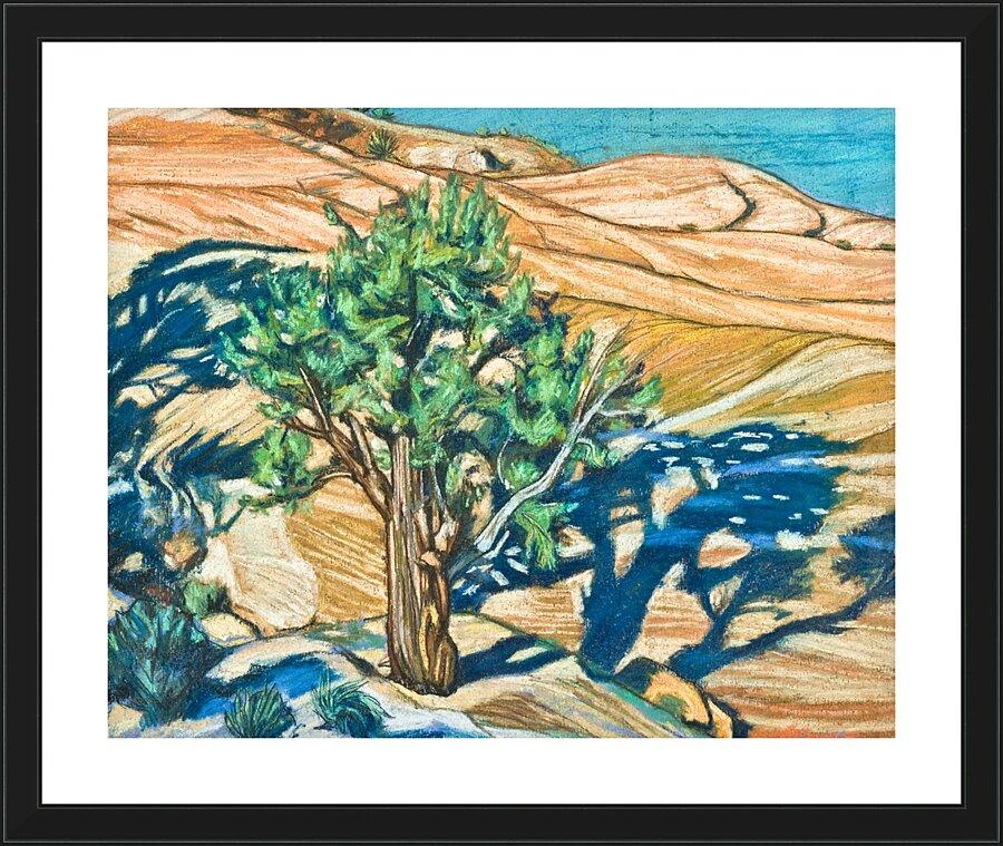 Wall Frame Black, Matted - Tree Shadow on Slickrock by L. Williams