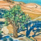 Wall Frame Gold, Matted - Tree Shadow on Slickrock by Lewis Williams, OFS - Trinity Stores