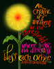 All Creativity Awakens - Metal Print