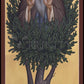 Canvas Print - St. David of Thessalonika by Br. Robert Lentz, OFM - Trinity Stores