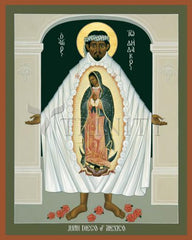 Metal Print - St. Juan Diego and the Miracle of Guadalupe by R. Lentz