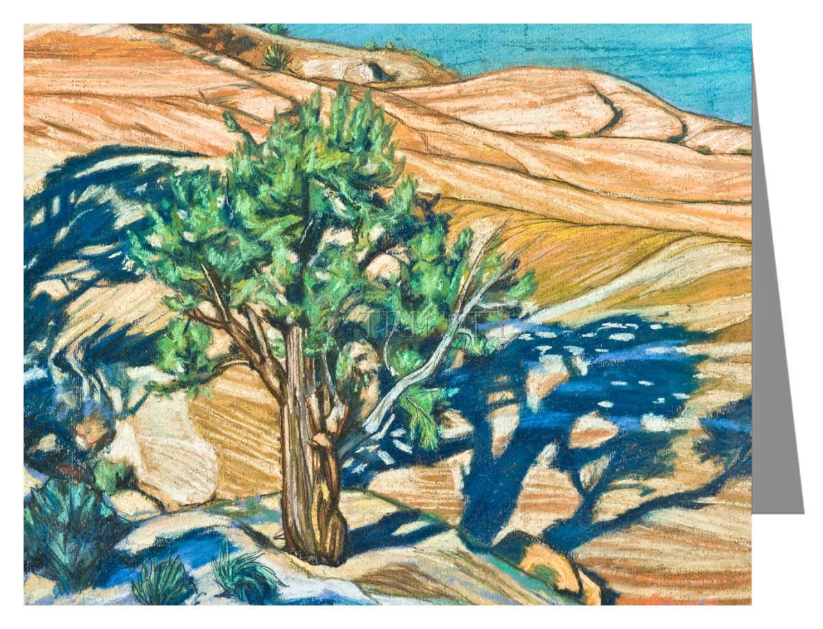 Tree Shadow on Slickrock - Note Card Custom Text by Lewis Williams, OFS - Trinity Stores