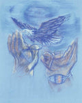 Giclée Print - Eagle Flying in Freedom by B. Gilroy