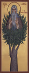 Giclée Print - St. David of Thessalonika by R. Lentz